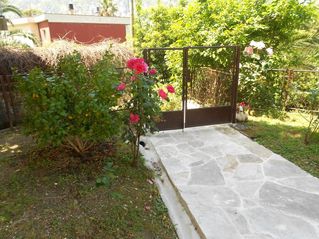 Apartments Samardzic Cattaro Esterno foto
